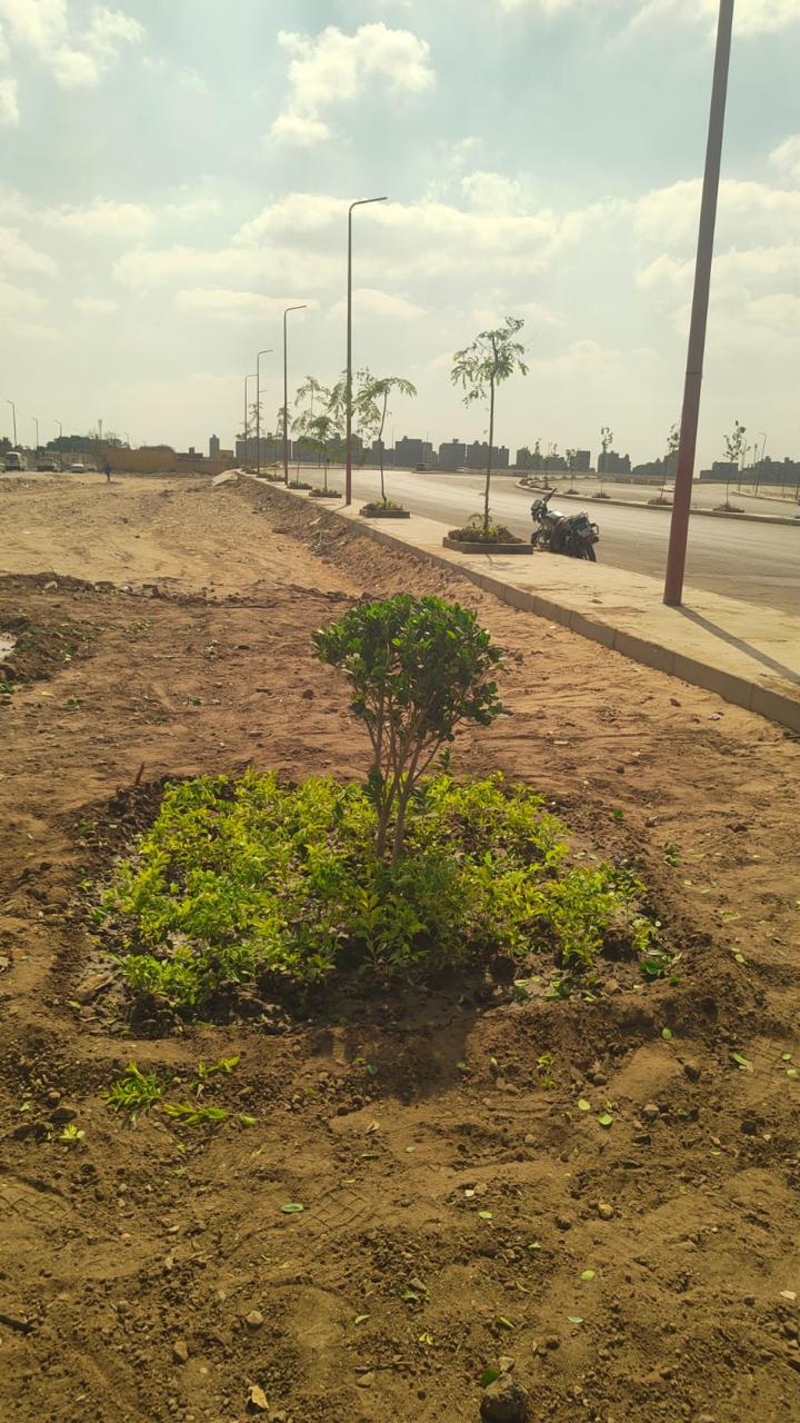 انطلاق المرحلة الرابعة من المبادرة الرئاسية 100 مليون شجرة في الفيوم (1)