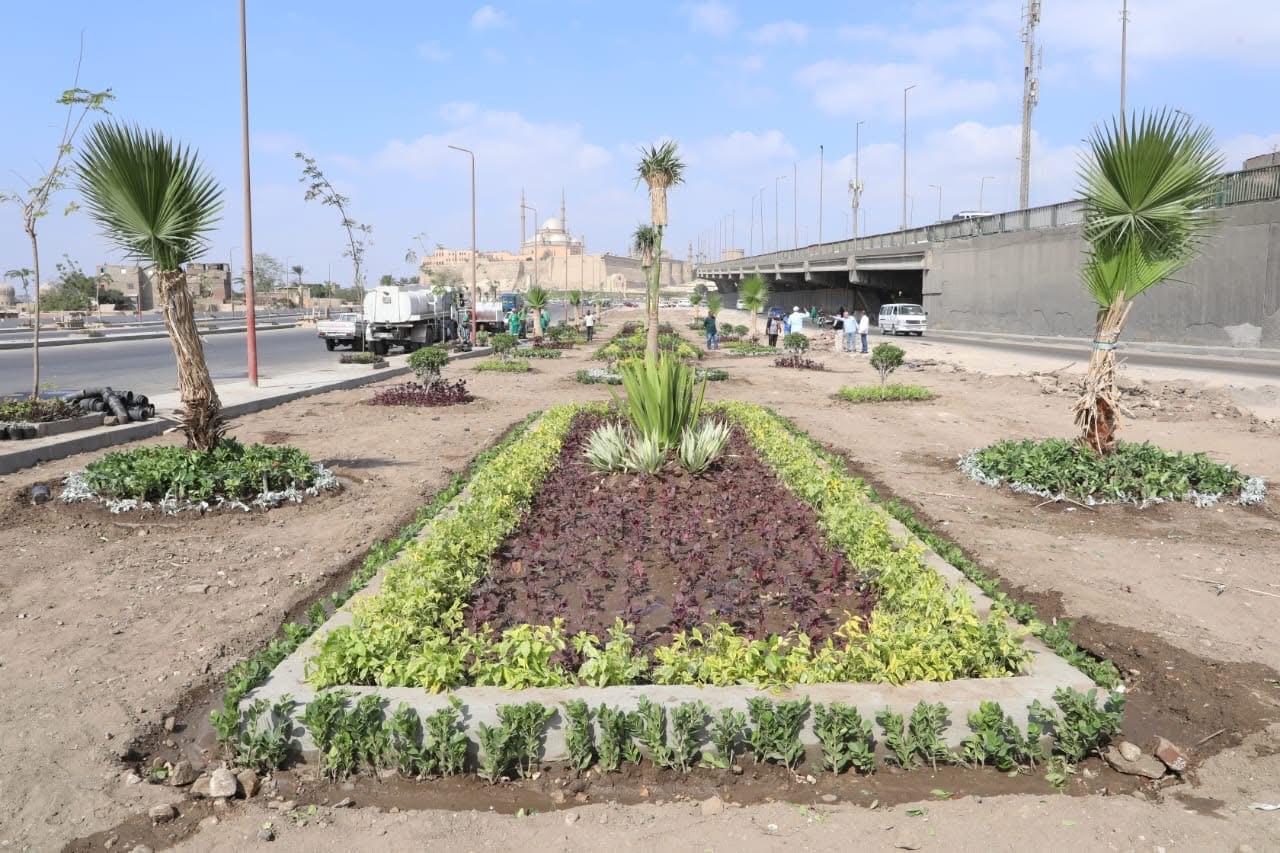 انطلاق المرحلة الرابعة من المبادرة الرئاسية 100 مليون شجرة في الفيوم (3)