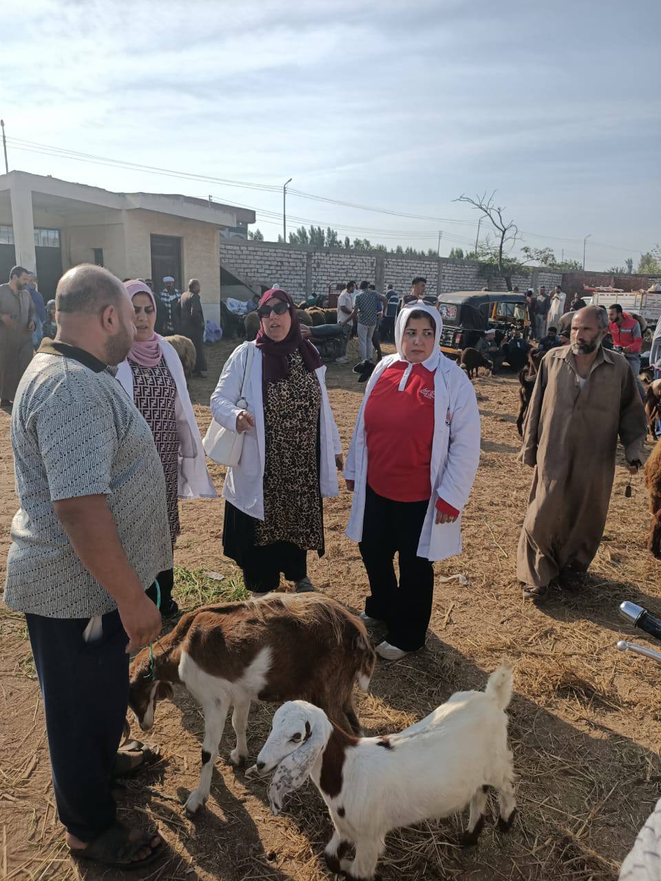 قافلة بيطرية بسوق بيلا للماشية