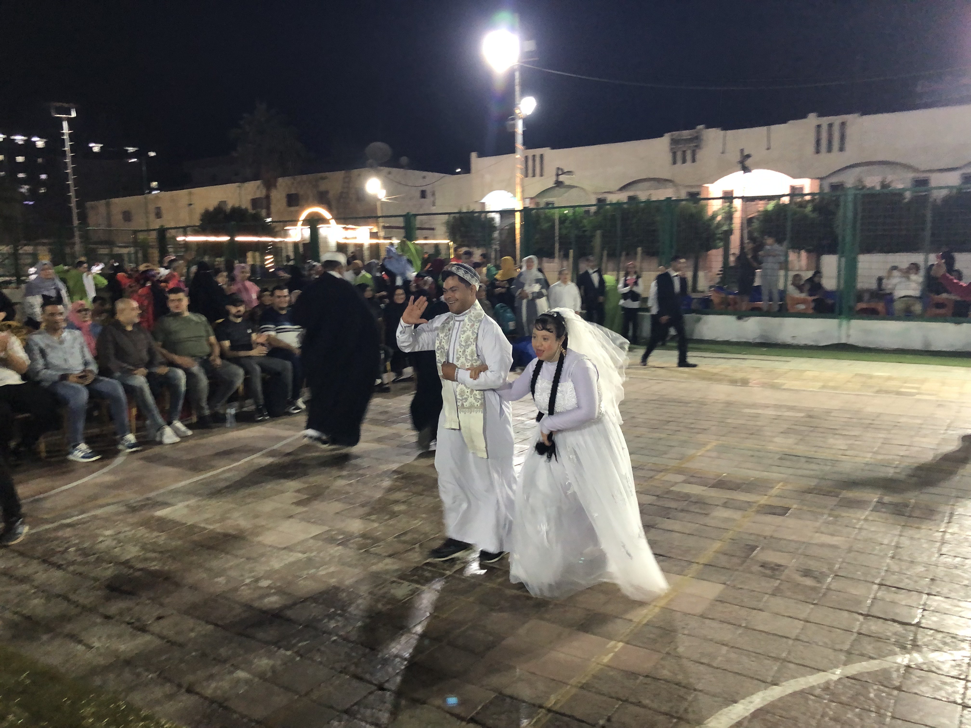 العروض الفنية