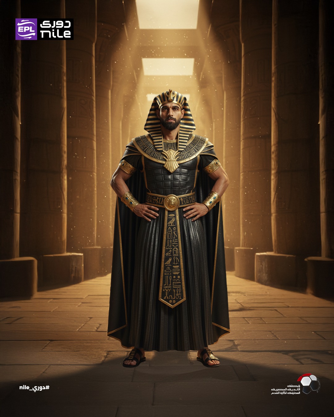 عمرو السولية عمرو السولية