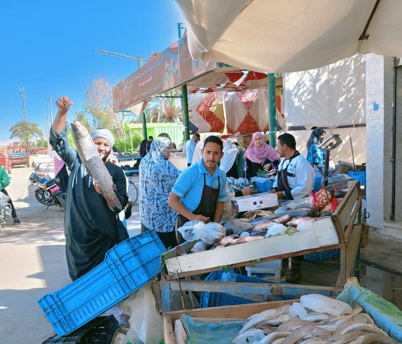 أسواق اليوم الواحد في الوادي الجديد (16)