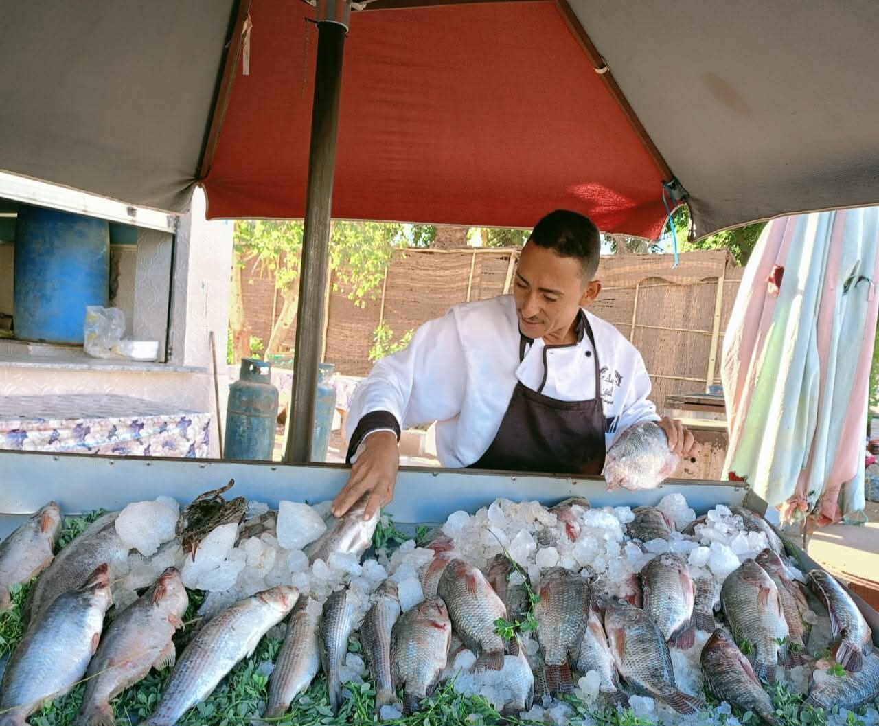 أسواق اليوم الواحد في الوادي الجديد (11)