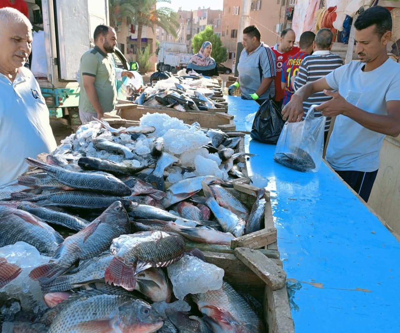 أسواق اليوم الواحد في الوادي الجديد (15)