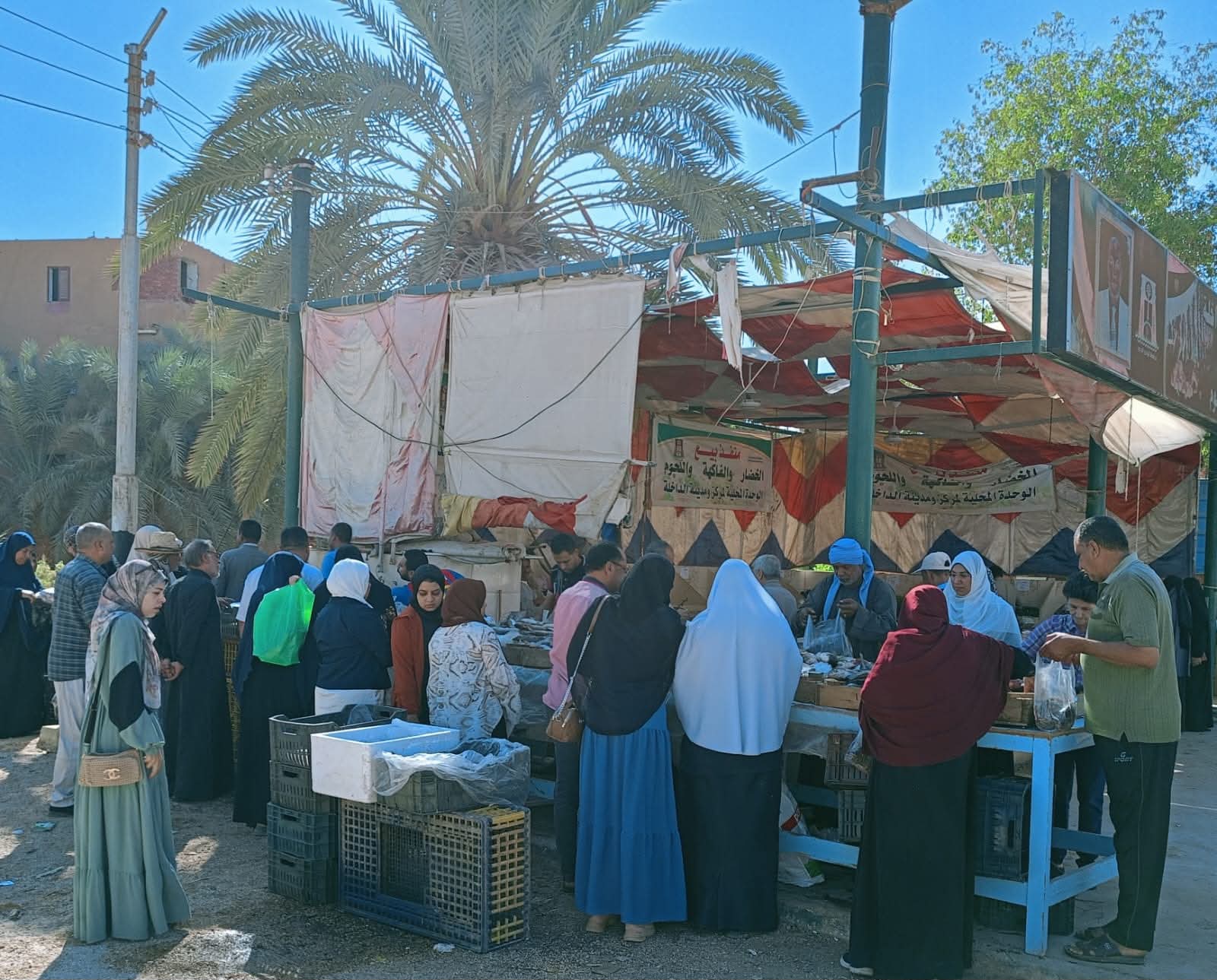 أسواق اليوم الواحد في الوادي الجديد (5)