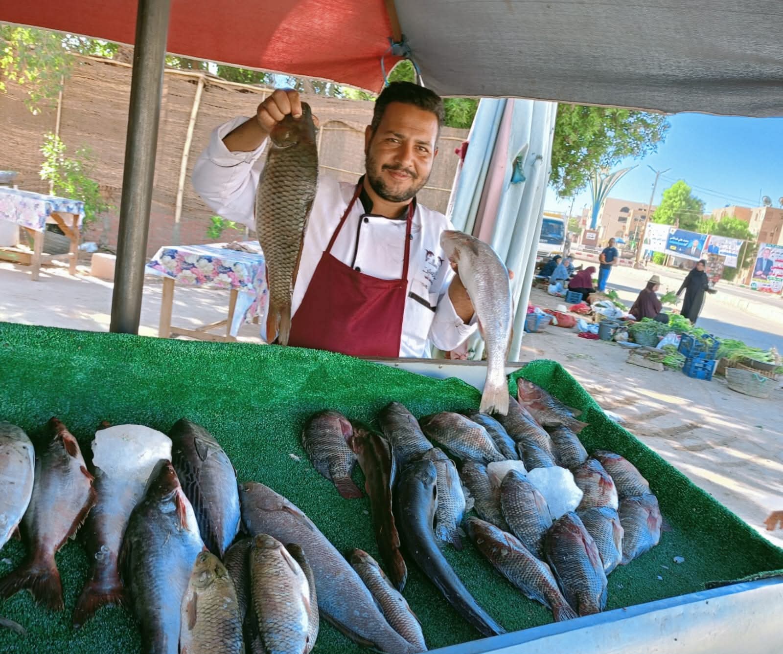 أسواق اليوم الواحد في الوادي الجديد (3)