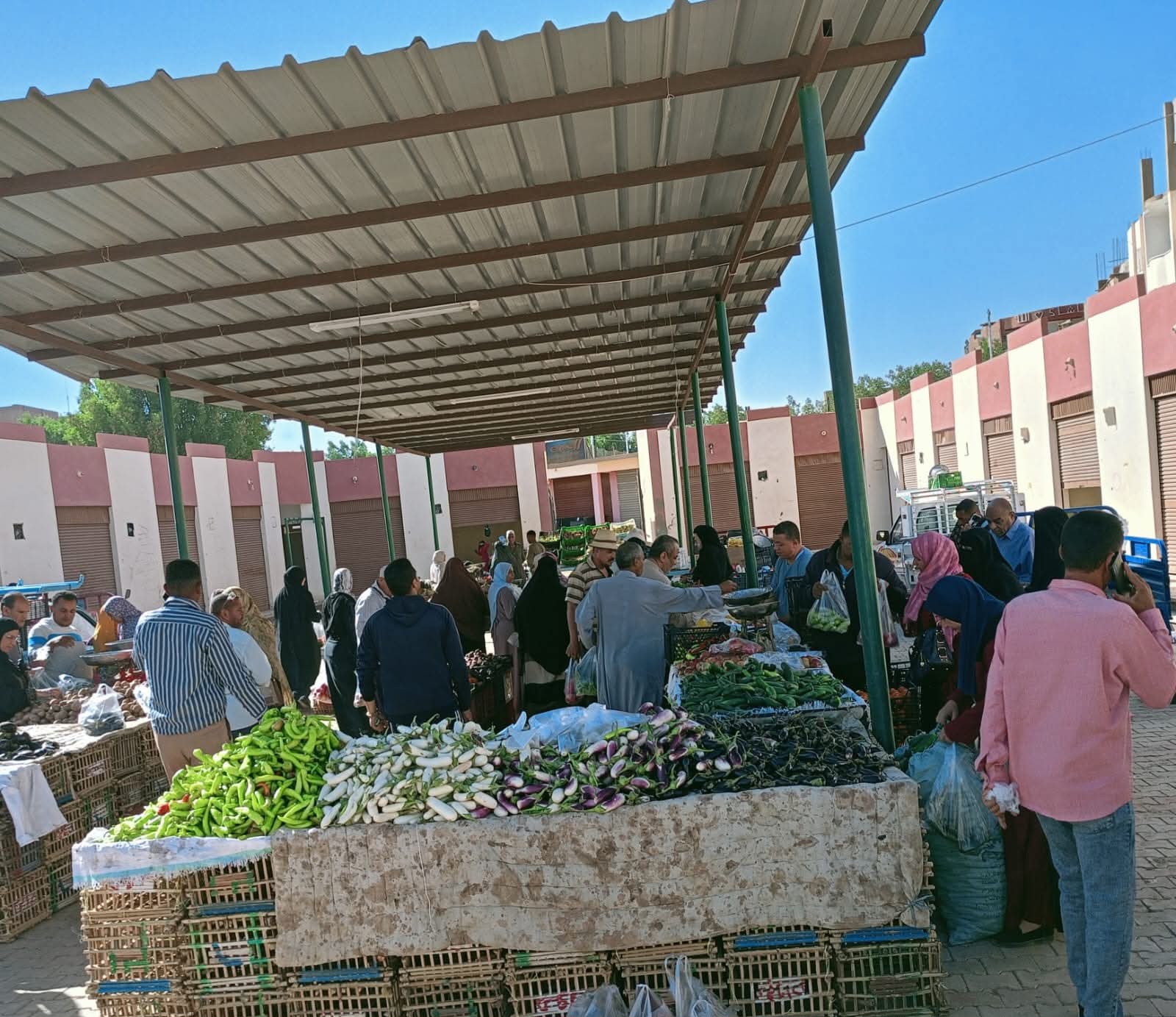 أسواق اليوم الواحد في الوادي الجديد (10)