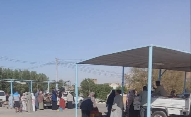 أسواق اليوم الواحد في الوادي الجديد (9)