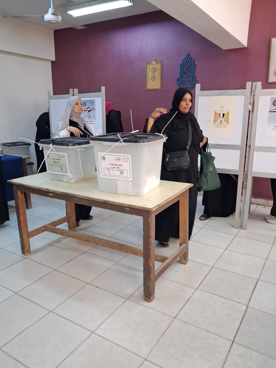 حضور النساء وكبار السن يثرى المشهد الانتخابى بمدرسة فى الدقي
