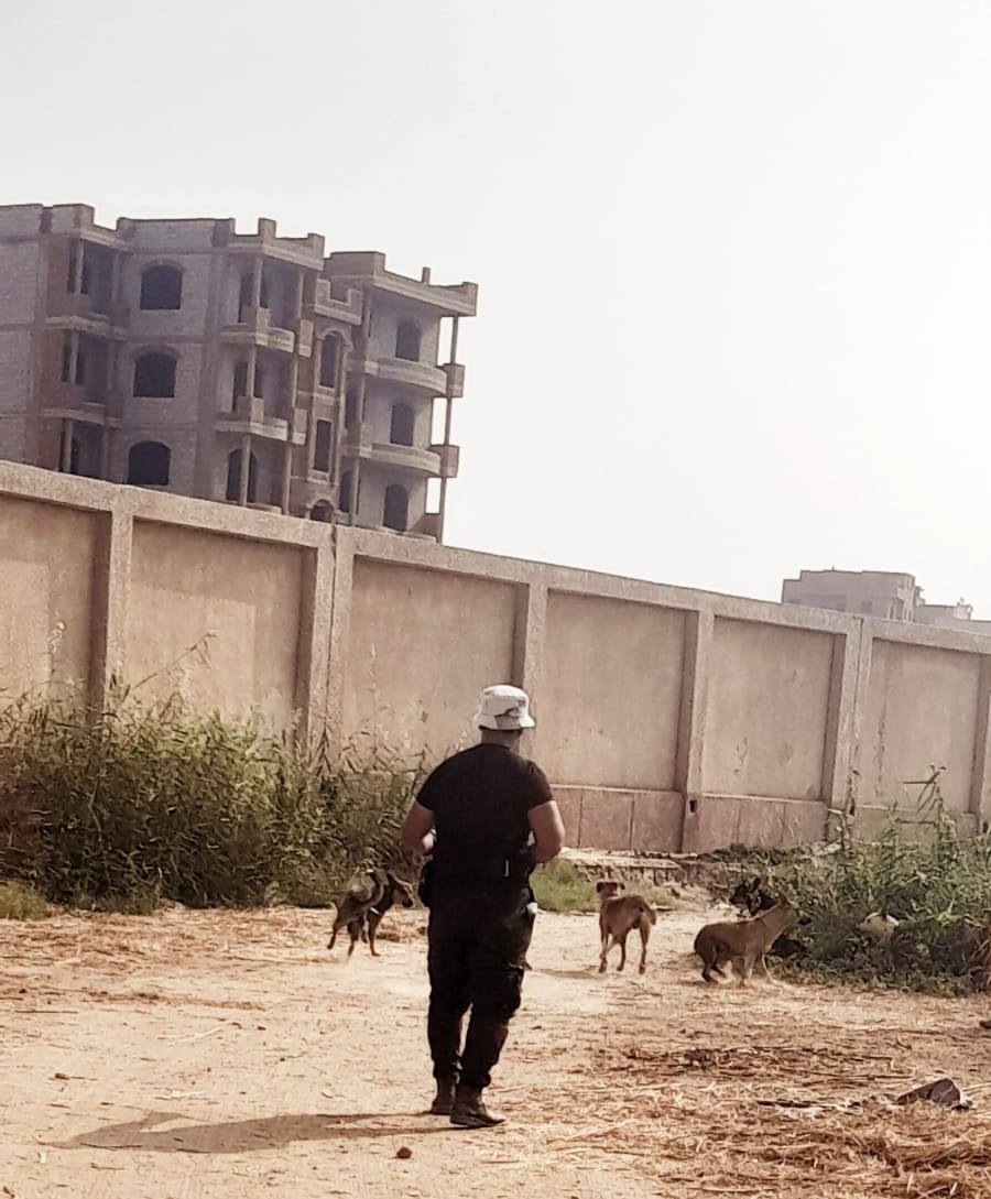 خلال الحملات بشبين القناطر خلال الحملات بشبين القناطر