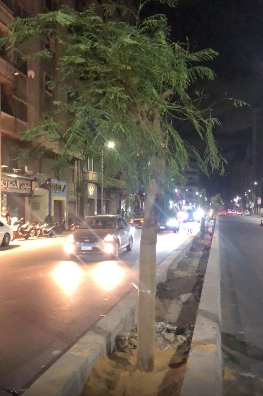 زراعة بدائل بالطريق