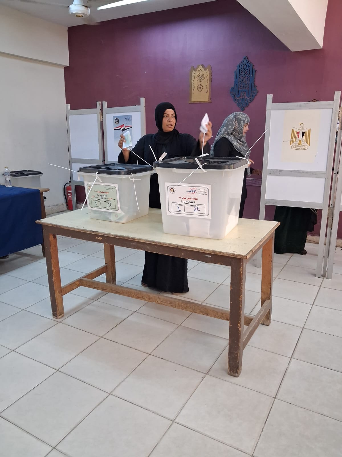 حضور النساء وكبار السن يُثرى المشهد الانتخابى فى الدقي