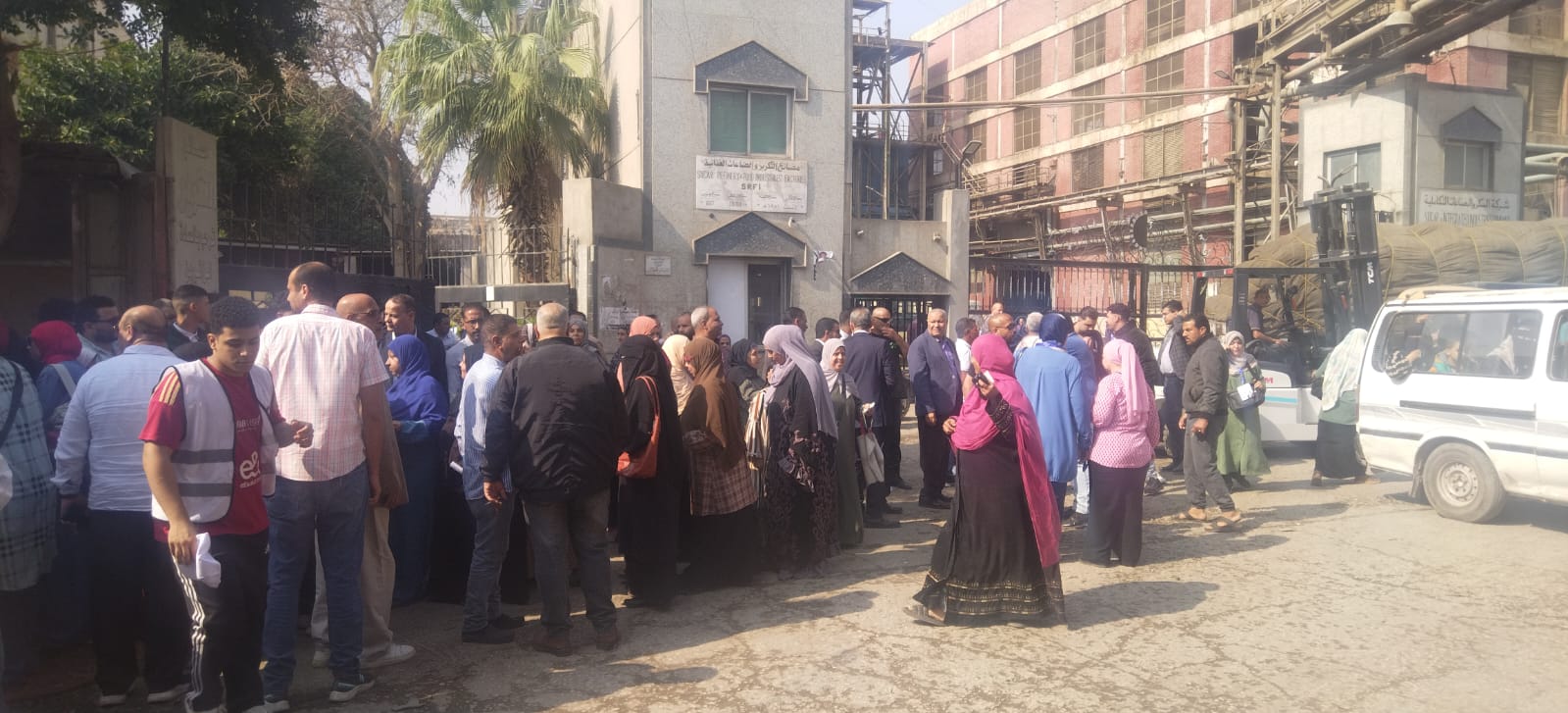 مشاركة العنصر النسائي