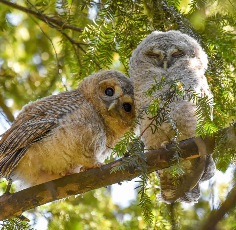 صورة لبومتين في الوقت المناسب