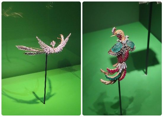 مجوهرات الطيور