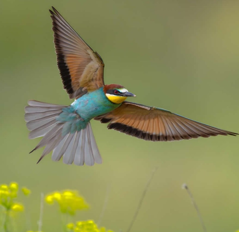 احدى صور الطفل ساشا 