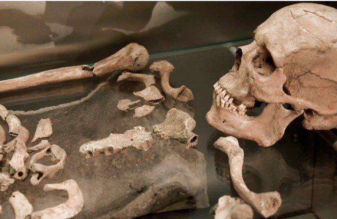 هيكل عظمى من العصر الرومانى