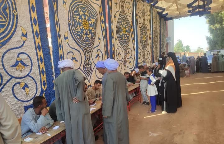 نظام ودقة  في محيط اللجان