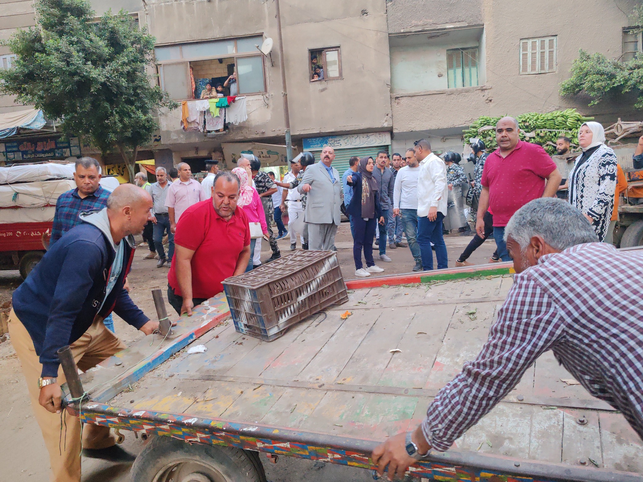 رفع ومصادرة العربات الكارو