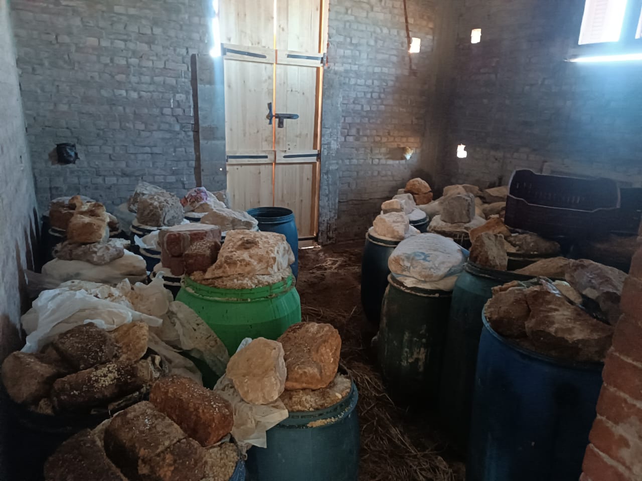 براميل مليئة بالفسيخ الفاسد براميل مليئة بالفسيخ الفاسد