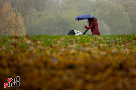الخريف يرسم لوحة طبيعية داخل حدائق بريطانيا