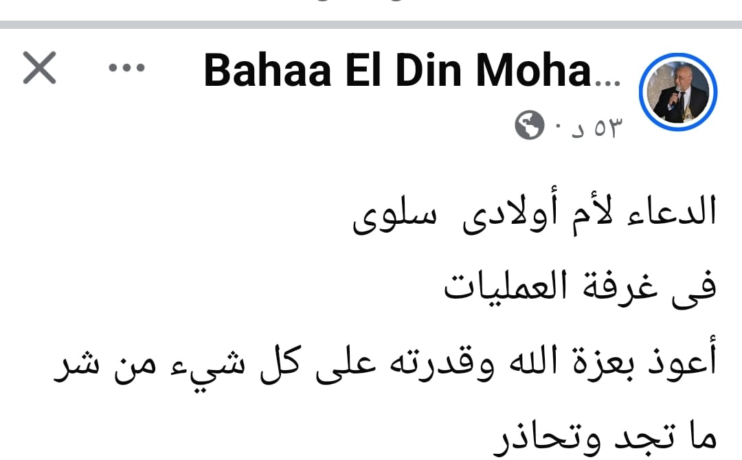 الشاعر بهاء الدين محمد