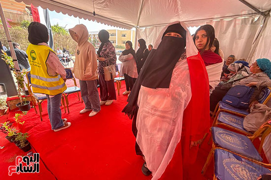 سيدة ترتدى علم مصر (2)