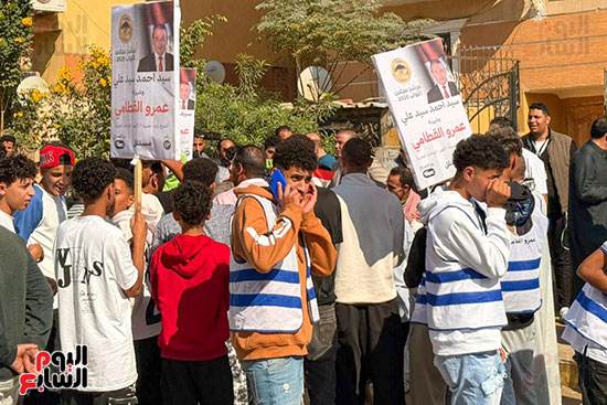 مسيرة انتخابية (2)