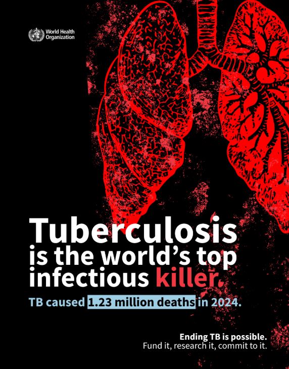 عدد وفيات السل
