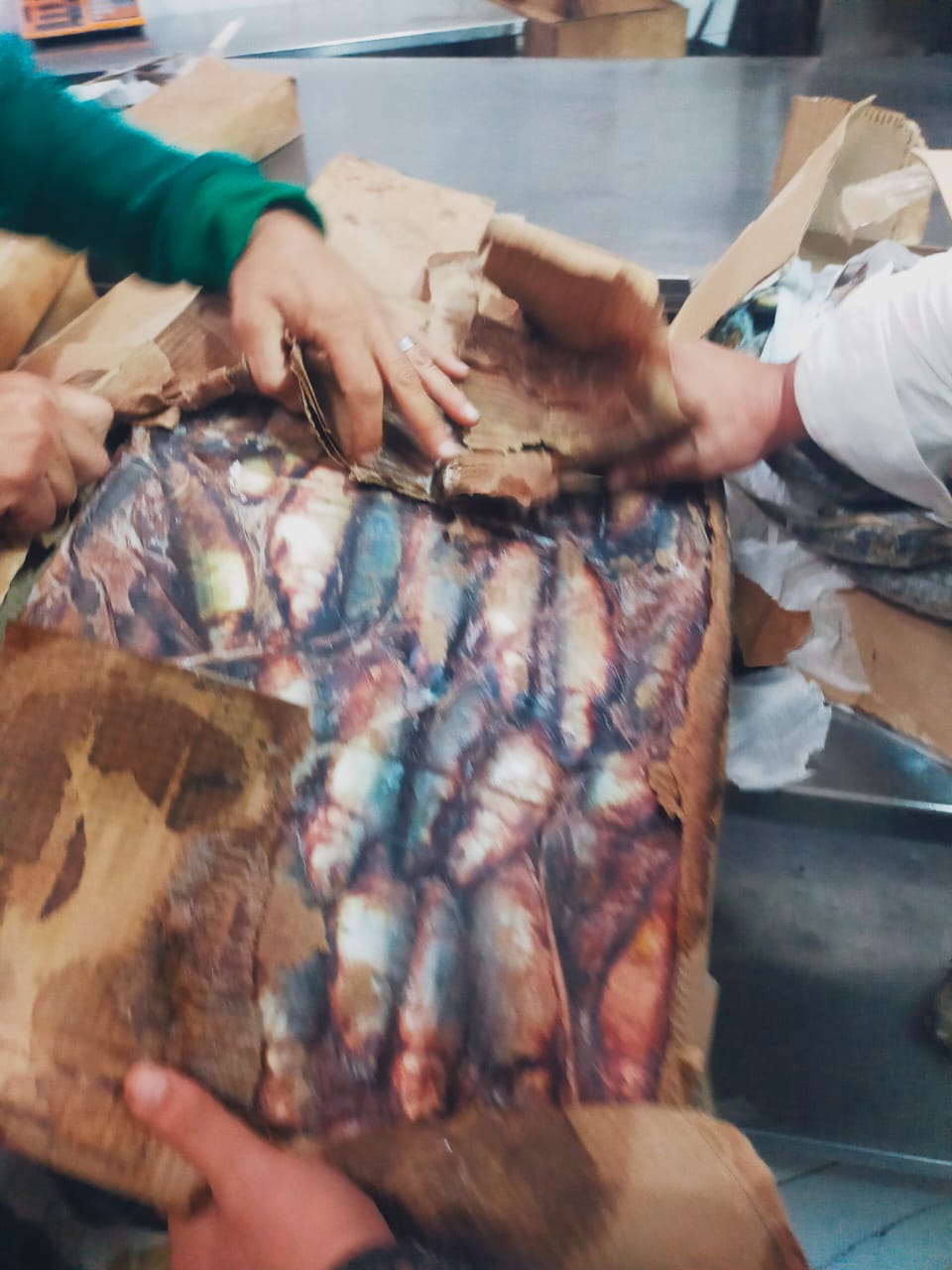 المضبوطات بالحملة