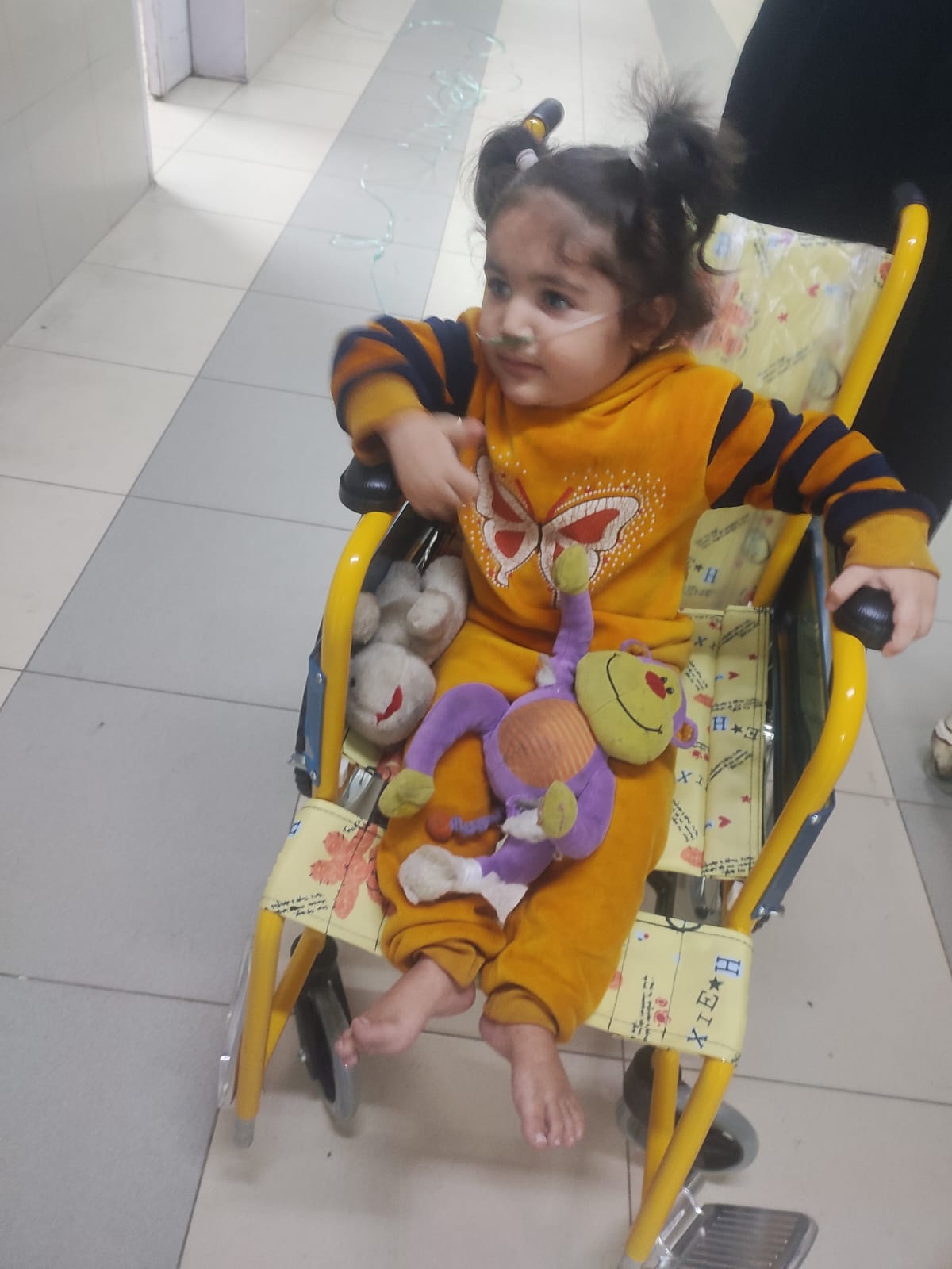 طفلة يارا الغولة طفلة يارا الغولة