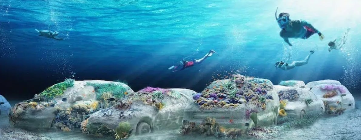 شعاب مرجانية 