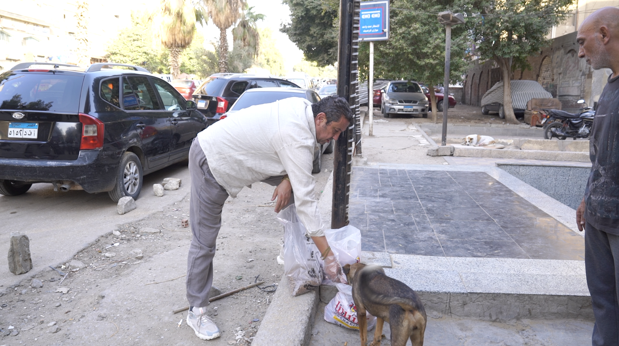 كلاب الشوارع وحلقة صندوق محسوب على تليفزيون اليوم السابع