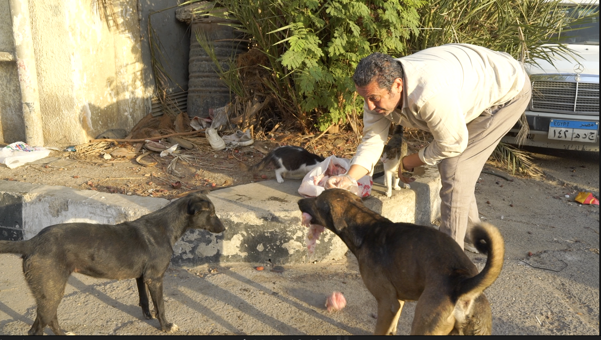 من برنامج صندوق محسوب