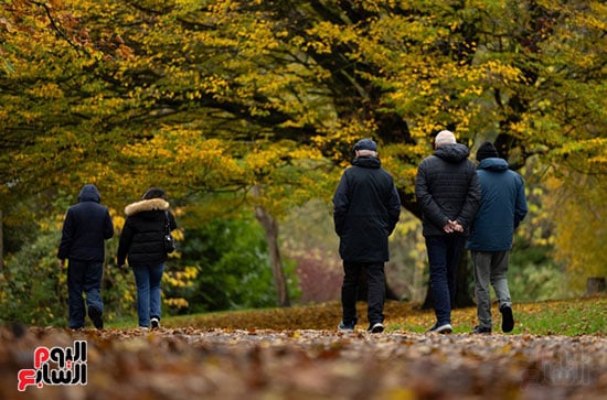 الخريف يرسم لوحة طبيعية داخل حدائق بريطانيا