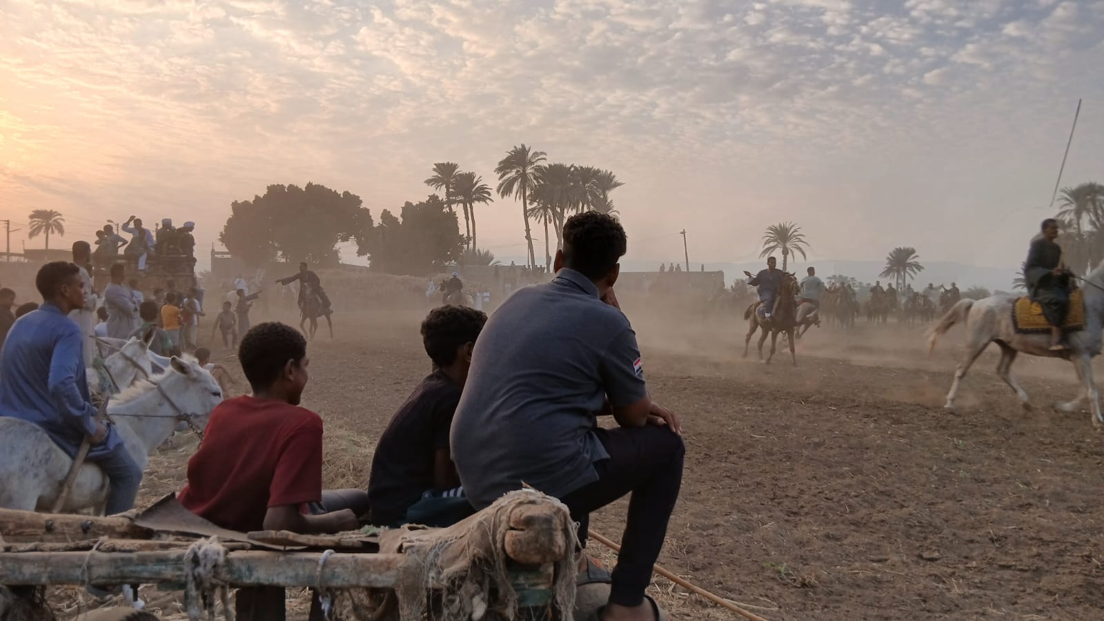 مرماح الشيخية بقنا