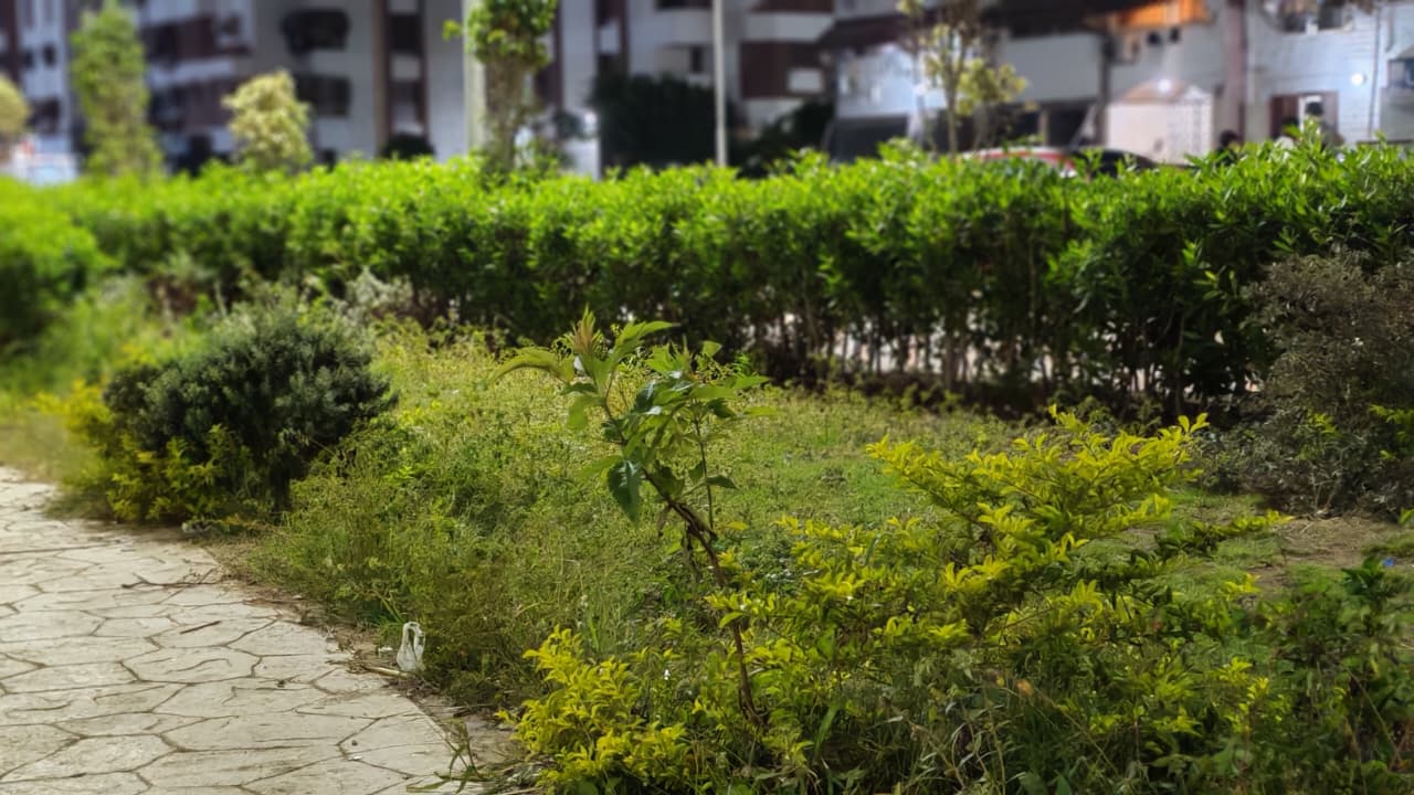 حديقة الكروان