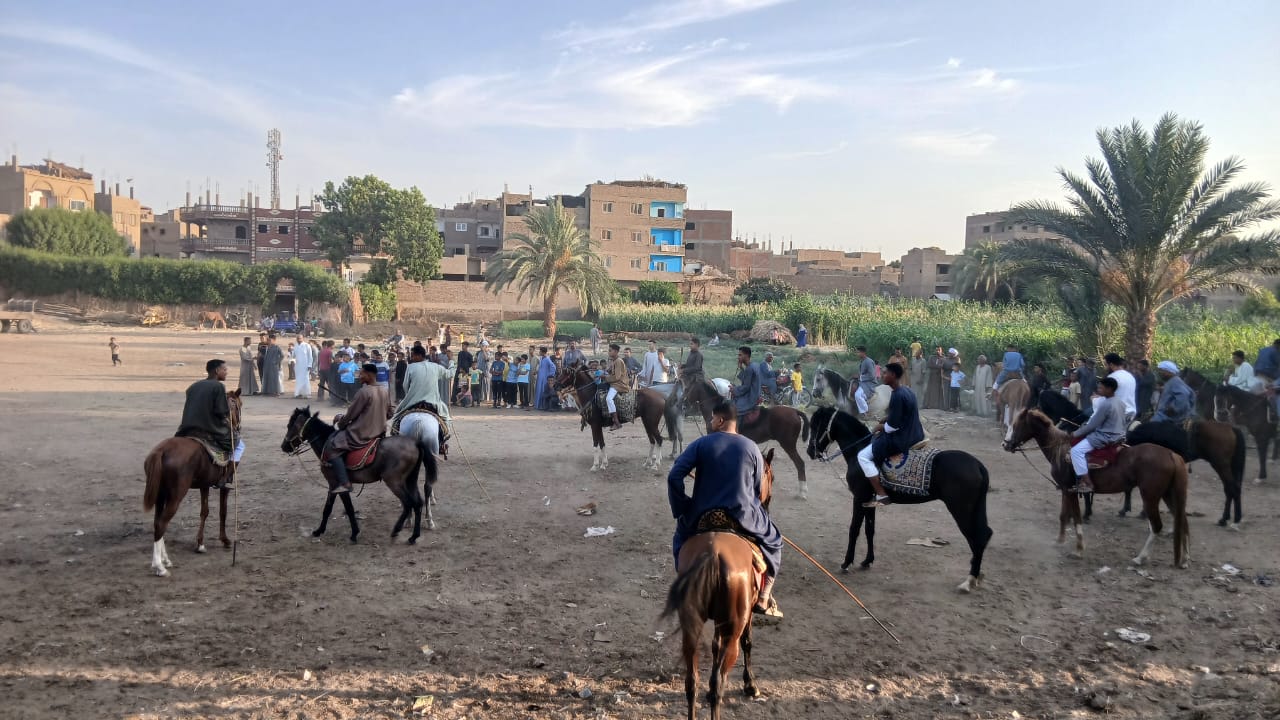 الخيالة في مرماح