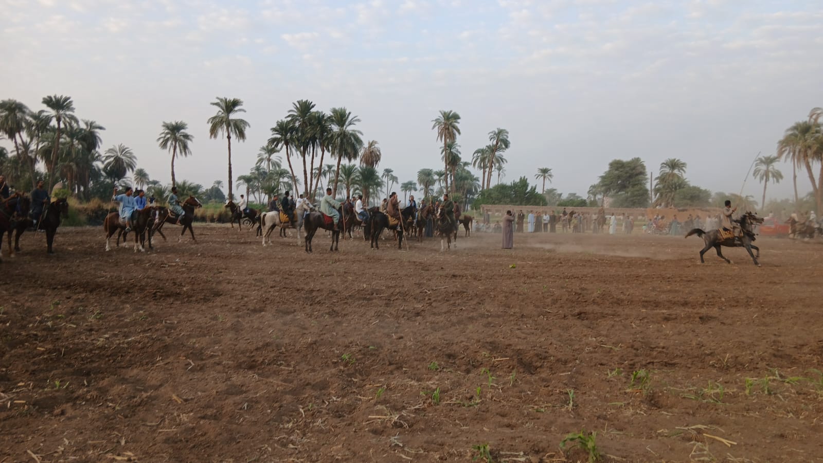 الخيالة في مرماح الشيخية