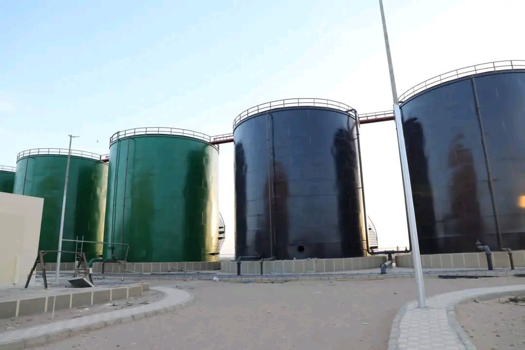 قرى الجذب السكاني بالوادى الجديد أكبر مشروع لتوطين الشباب بإجمالى 100 ألف شخص (12)