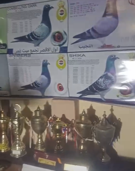 جانب من الجوائز التي حصل عليها هاني أبو شامه