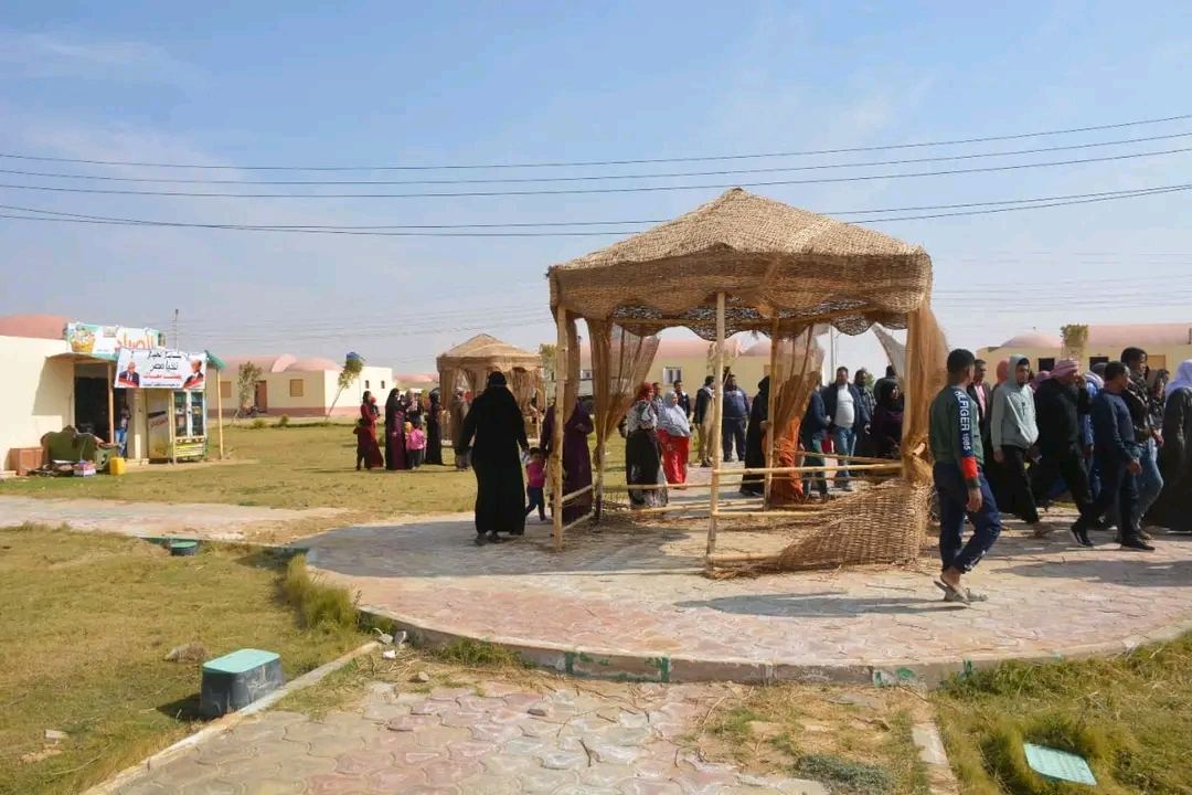 قرى الجذب السكاني بالوادى الجديد أكبر مشروع لتوطين الشباب بإجمالى 100 ألف شخص (2)