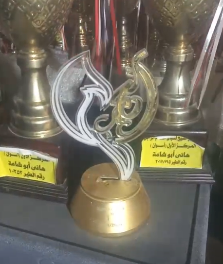 الكئوس التي حصل عليها على مستوى الجمهورية وفي المسابقة الدولية