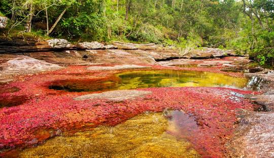 نهر كولومبيا نهر كولومبيا