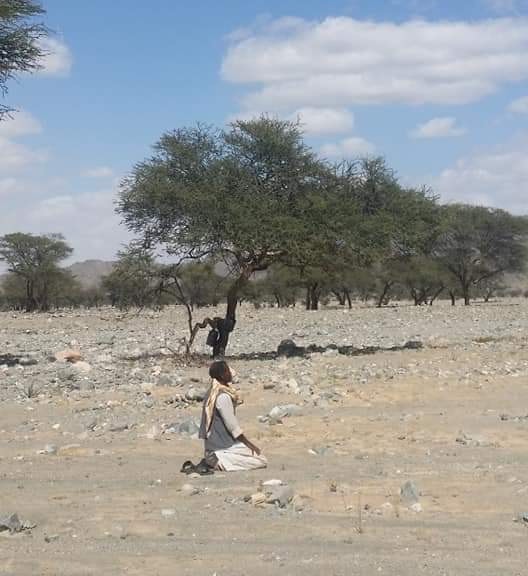 يصلى فيها أصحاب مهنة الرعى