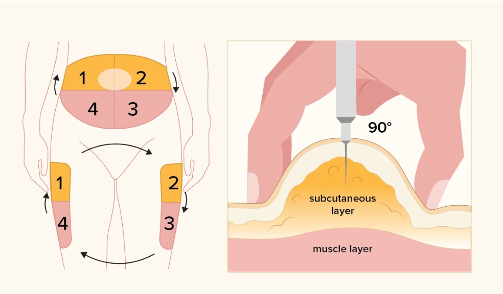 WhatsApp Image 2025-11-12 at 11.41.26 PM