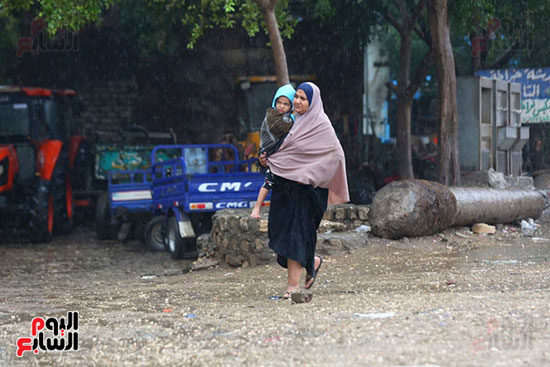 أمطار متوسطة إلى غزيرة تضرب الطرق الزراعية