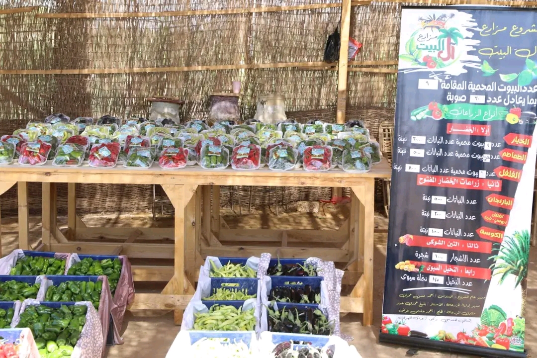 قرى الجذب السكاني بالوادى الجديد أكبر مشروع لتوطين الشباب بإجمالى 100 ألف شخص (6)