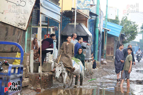 مشاهد من الأمطار الغزيرة في جنوب الجيزة