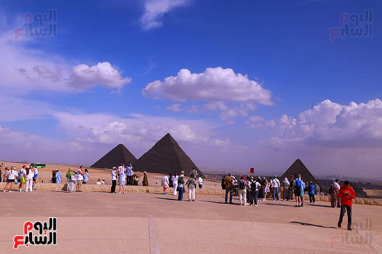 رحلات الجمال تحذب السائحين